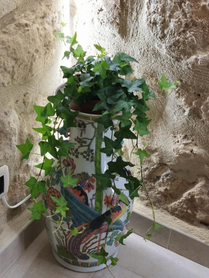 Santa Lucia Apartment Bari Kültér fotó